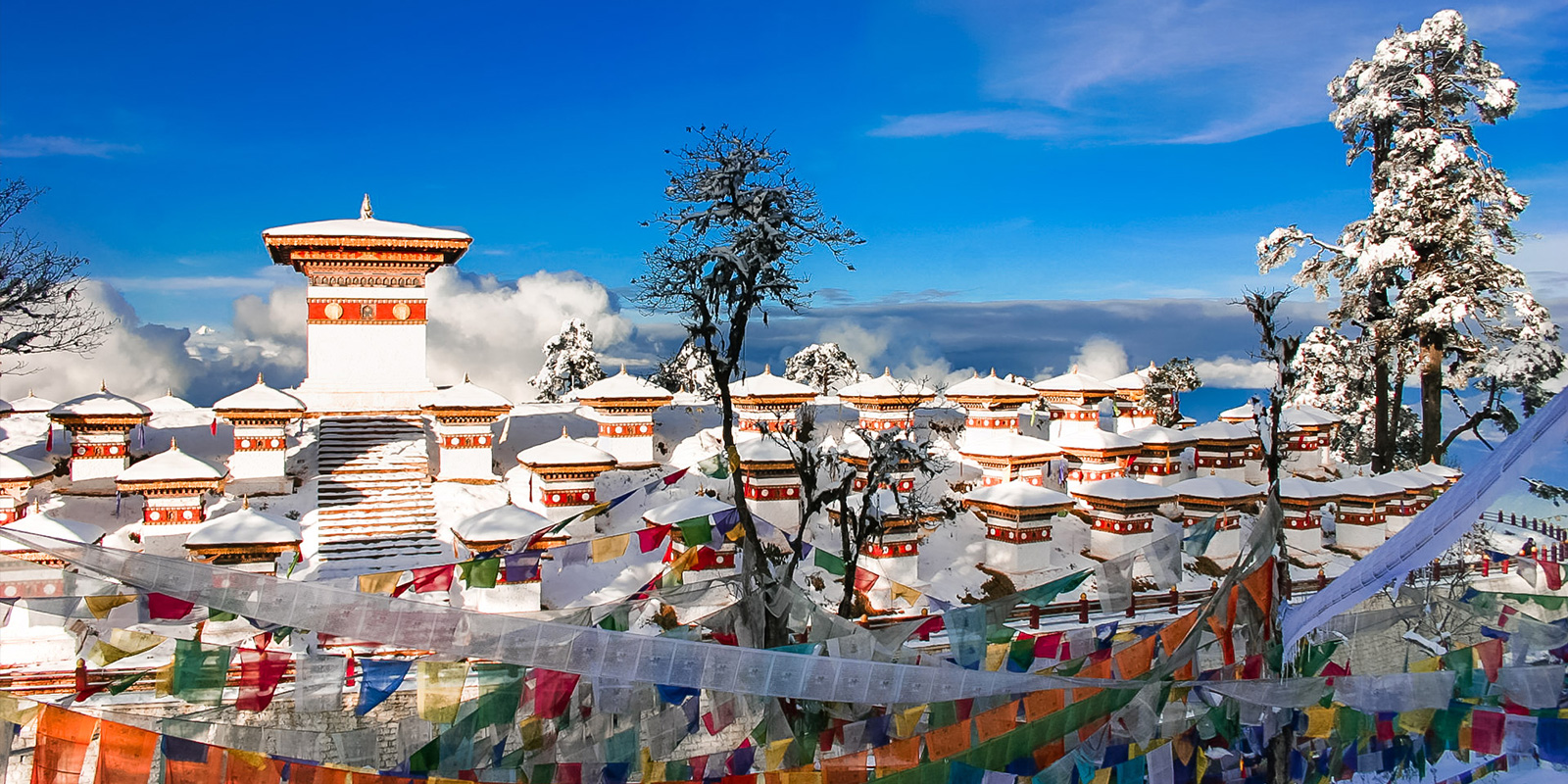 Travel & Tour Banner Four